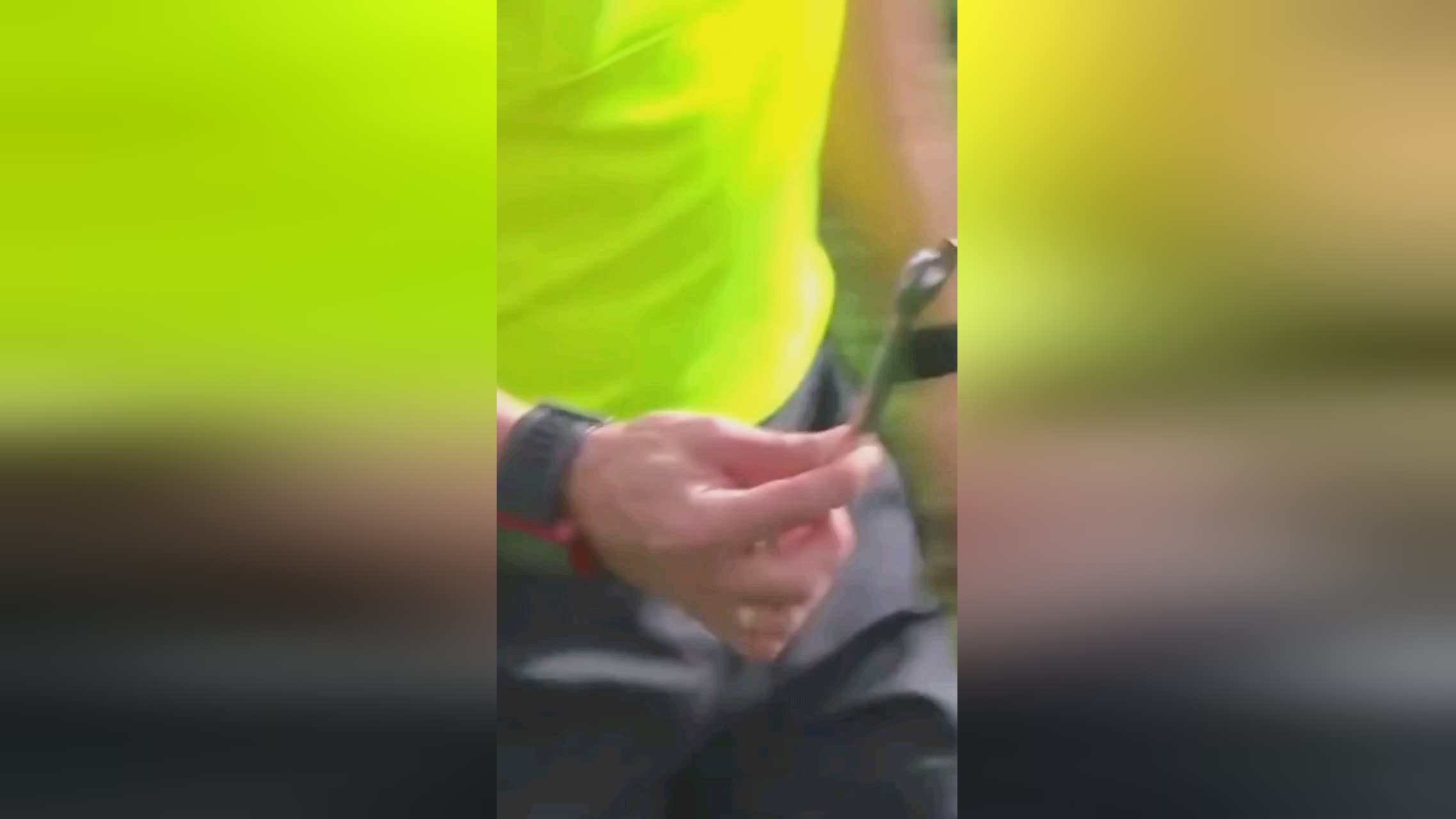 维的门前冷